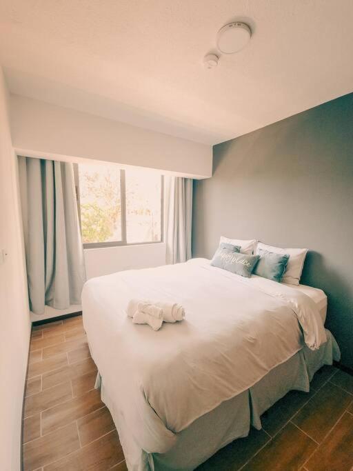 Entire Beautiful Condo With Rooftop Pool And Gym San Salvador Exterior photo
